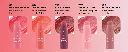 blushin stick all.webp